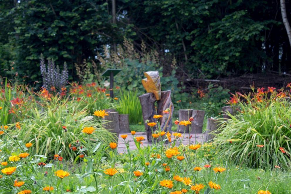 Tweede Chakra: Vreugde