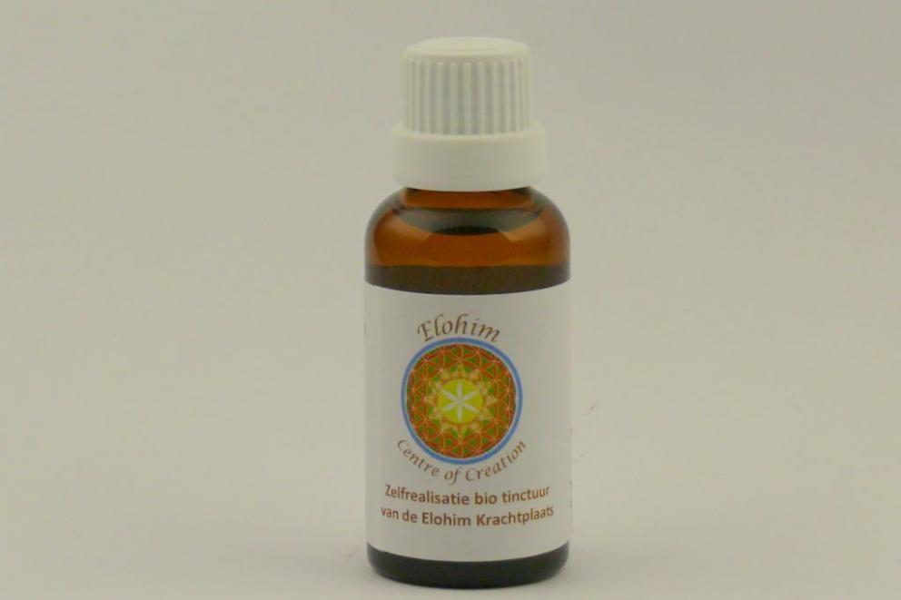 Kruin chakra - Genade ontvangen