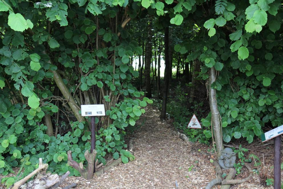 Trollenbos - Vrijheid