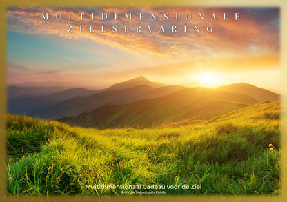 Multidimensionale Zielservaring